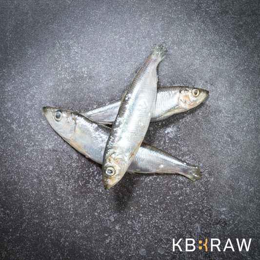 KB Barf Whole herring