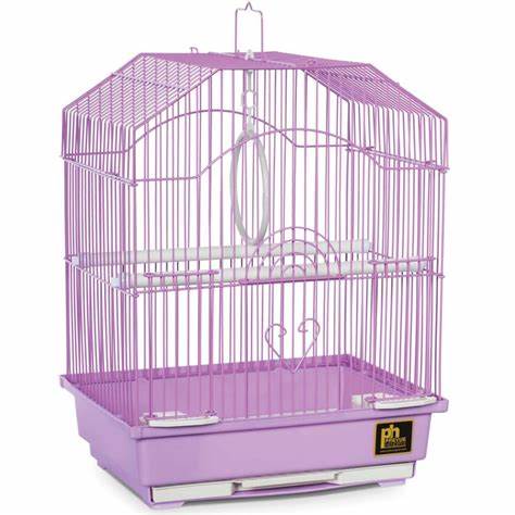 Bird cage model 2