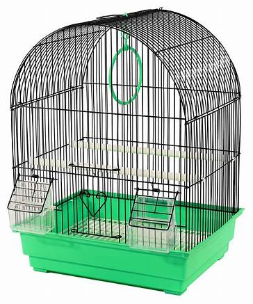 Bird cage model 6