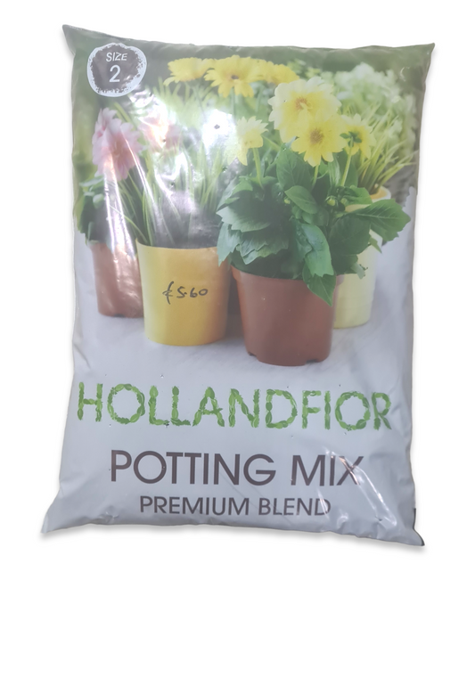 Hollandfior Potting Mix