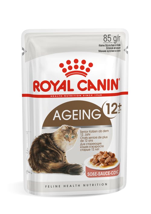 Royal Canin Aging 12+ Wet