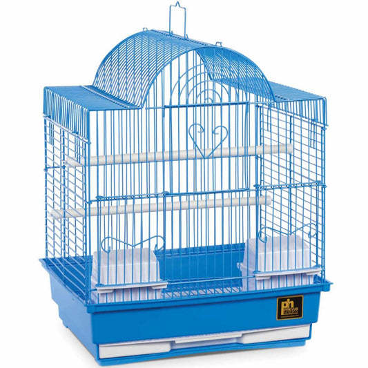 Bird cage model 4