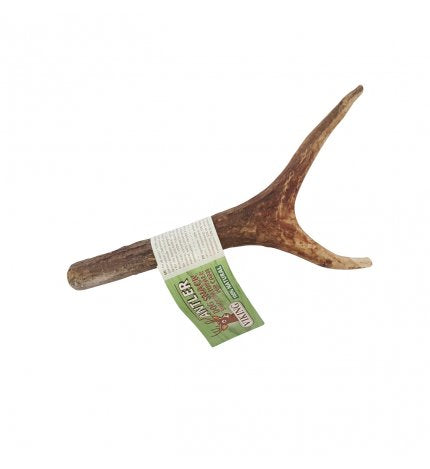 LEOPET VIKING DOG SNACK DEER ANTLER CLOSED S FROM 50/80 GR