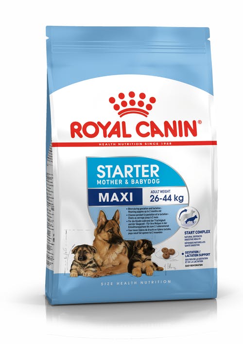 Royal Canin Maxi Starter